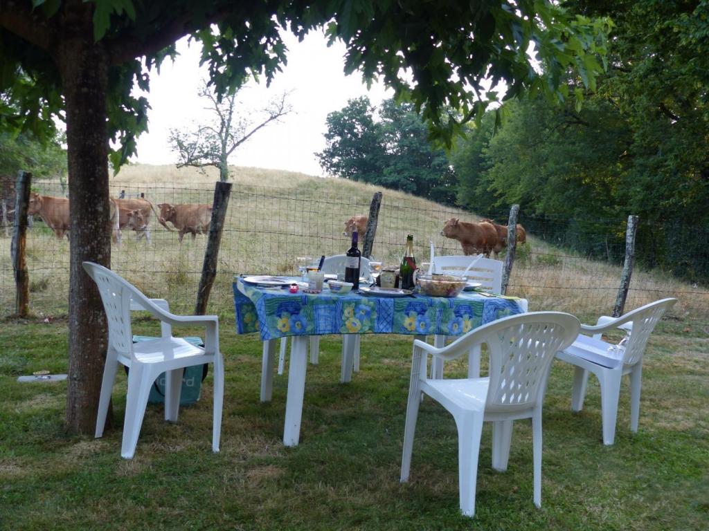 Location Gîtes de France  - Réf : 19G5007