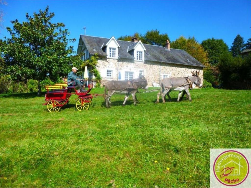 Le Gîte des ânes- Ludogîte