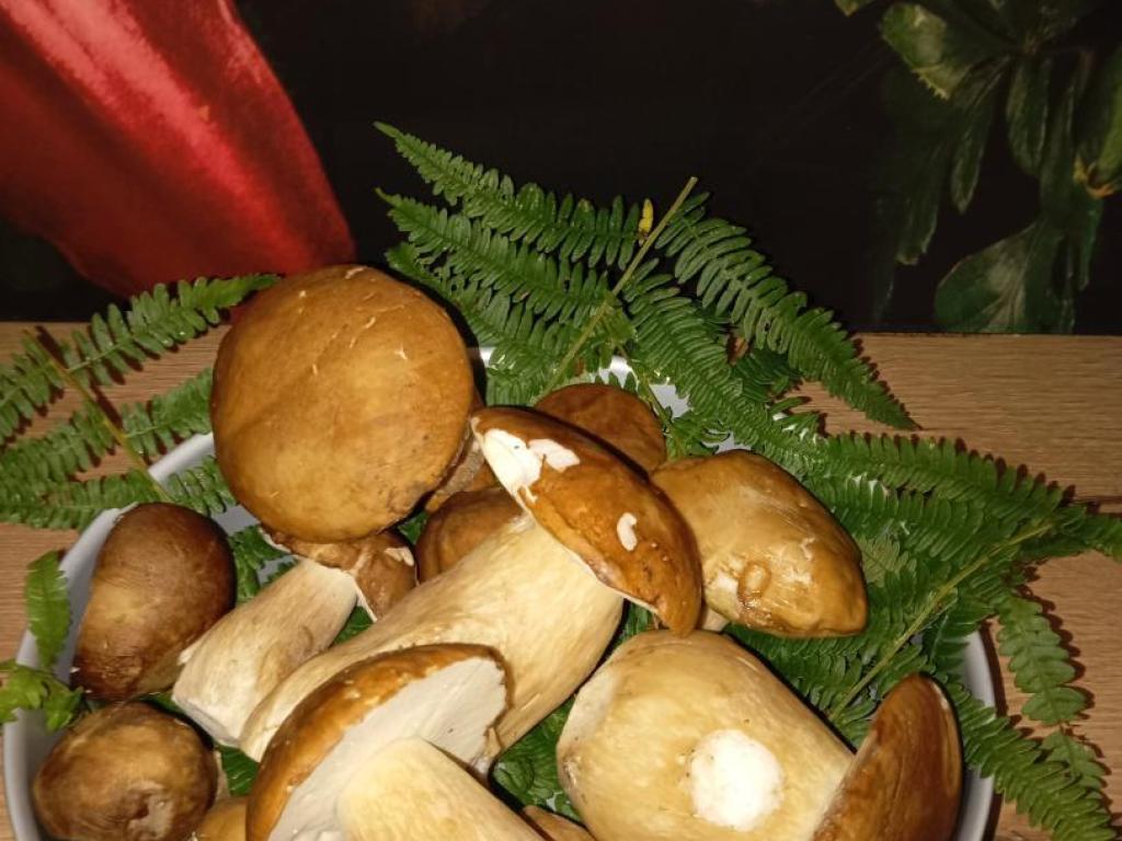 C'est tout Vert C'est tout Vert