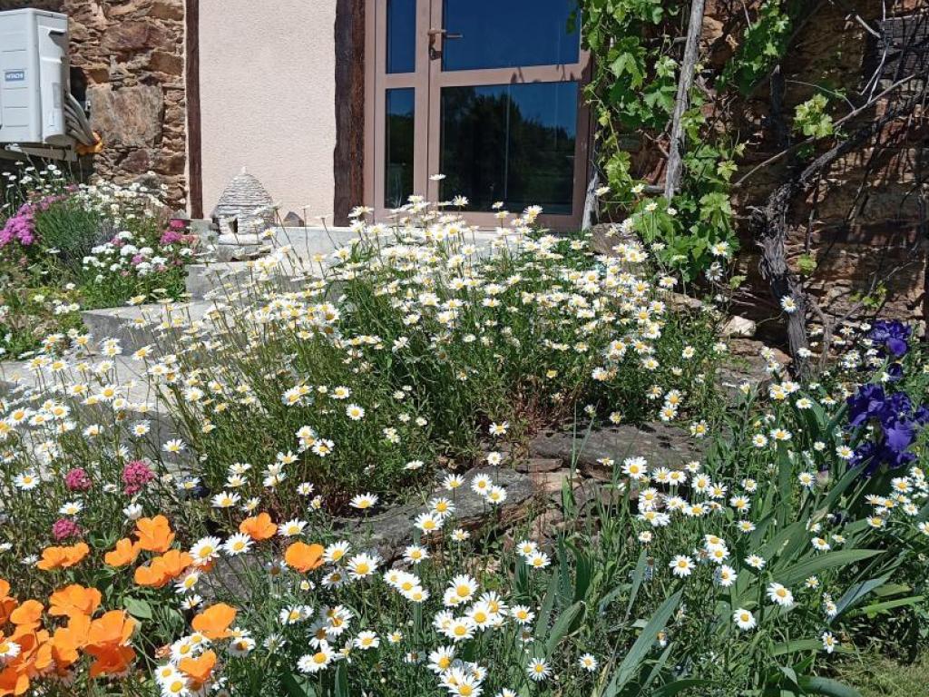 C'est tout Vert C'est tout Vert