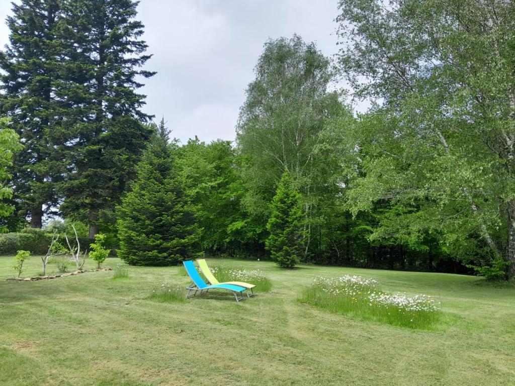 C'est tout Vert C'est tout Vert