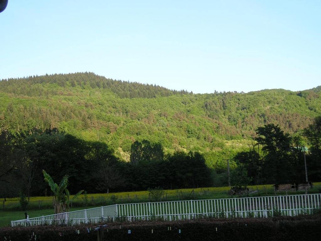 Les Saulières 11