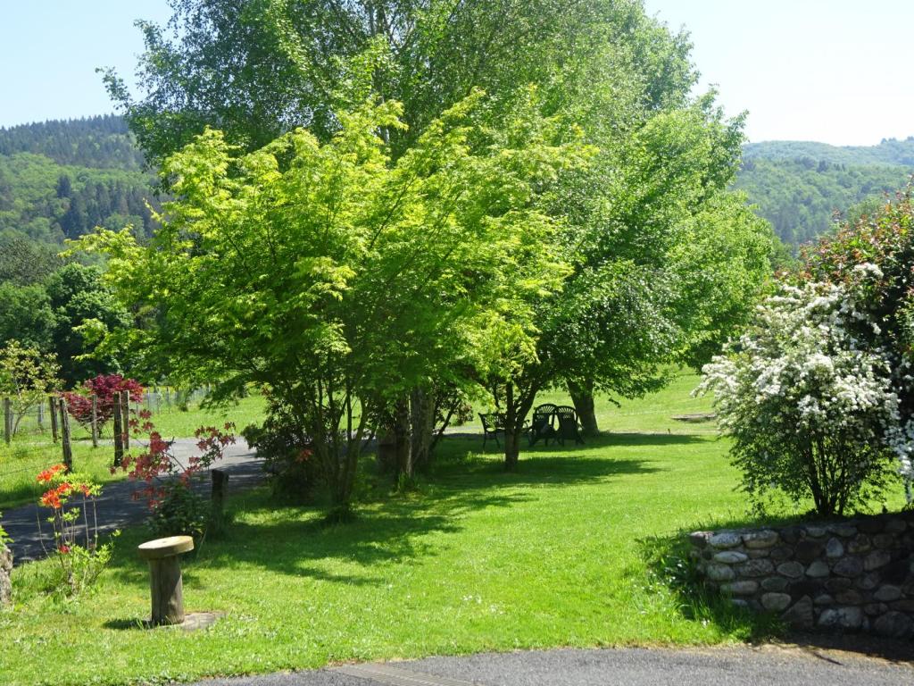 Les Saulières 11