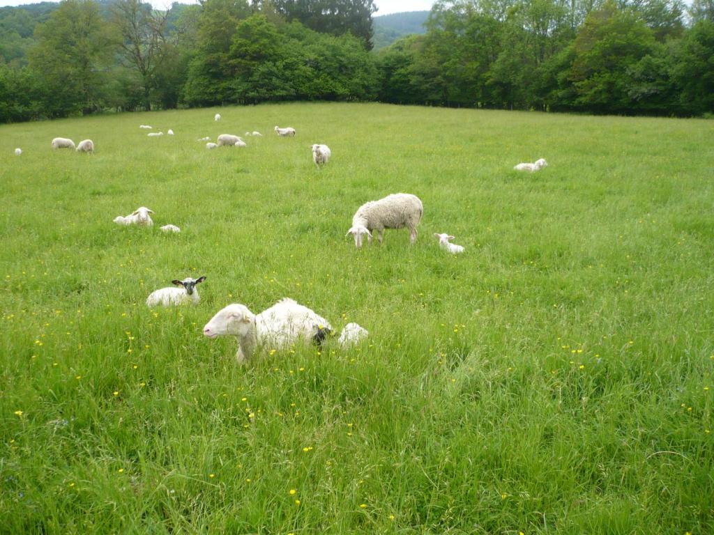 Location Gîtes de France  - Réf : 19G4284