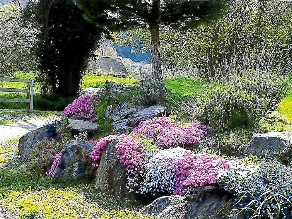Gîte du Champ