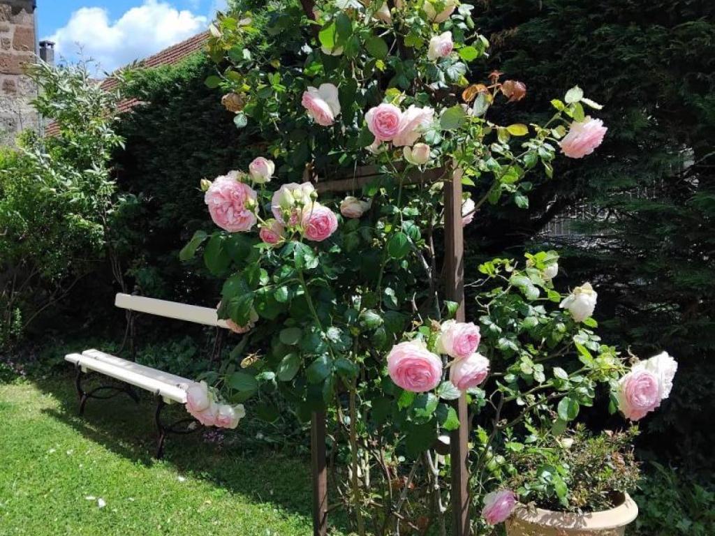 Location Gîtes de France  - Réf : 19G3191