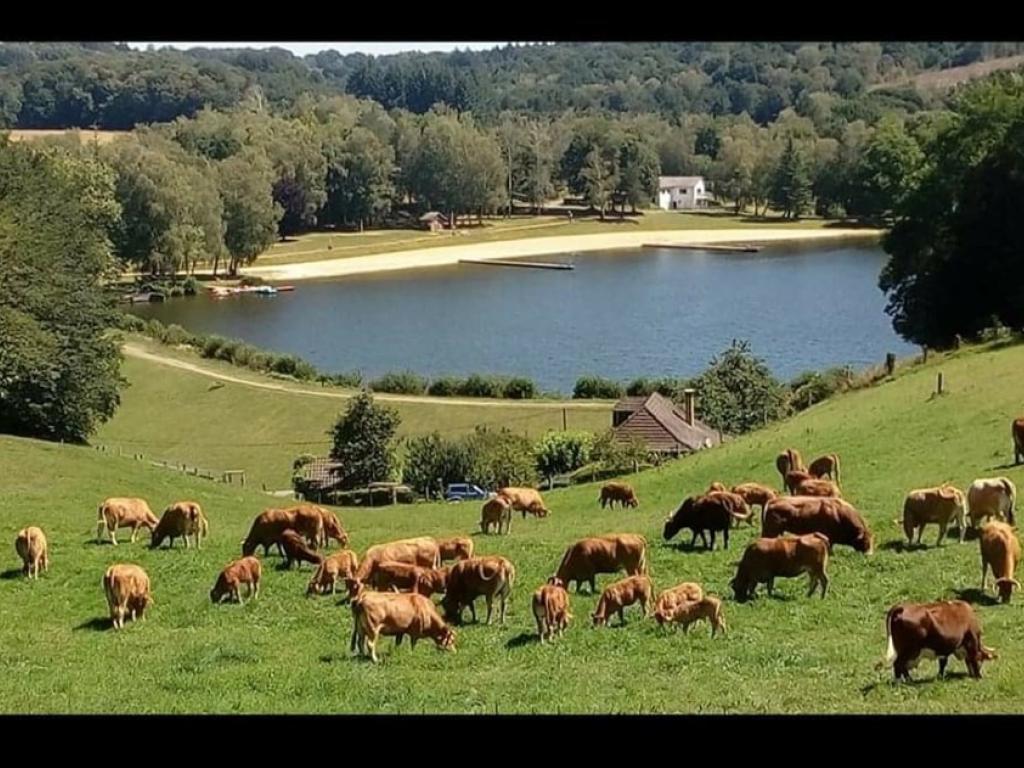 Le Gîte du Hameau