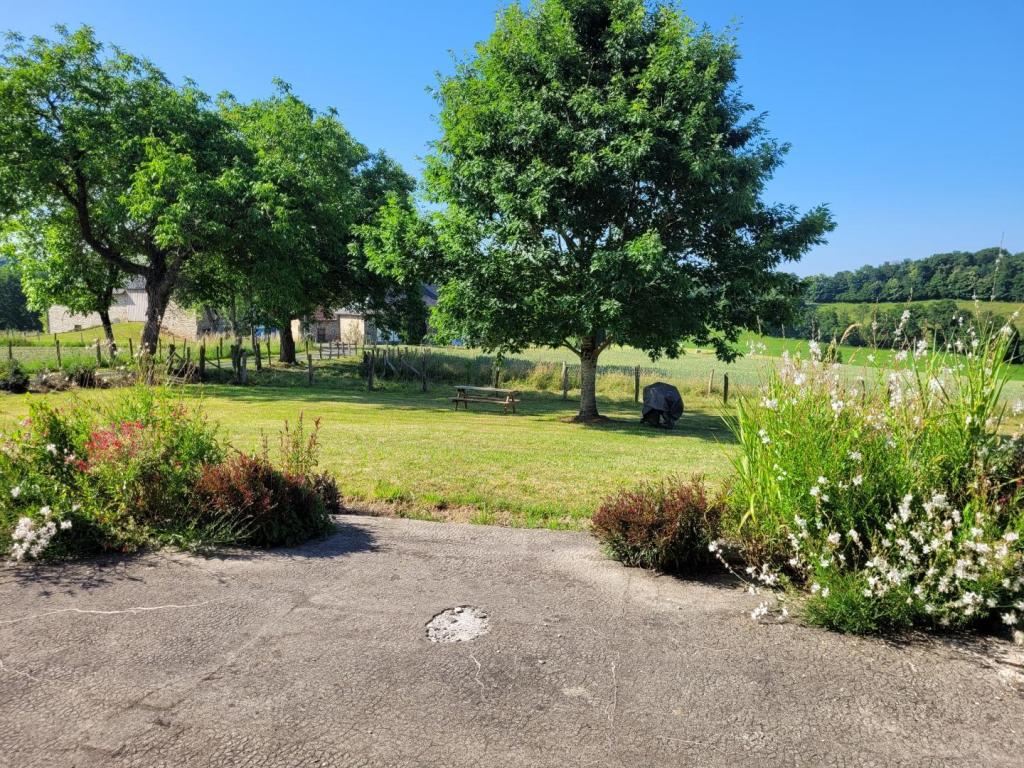 L'Ecureuil L'Ecureuil