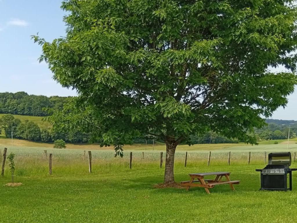 L'Ecureuil L'Ecureuil