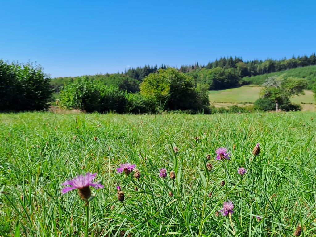 Les Chaumières de Brameix