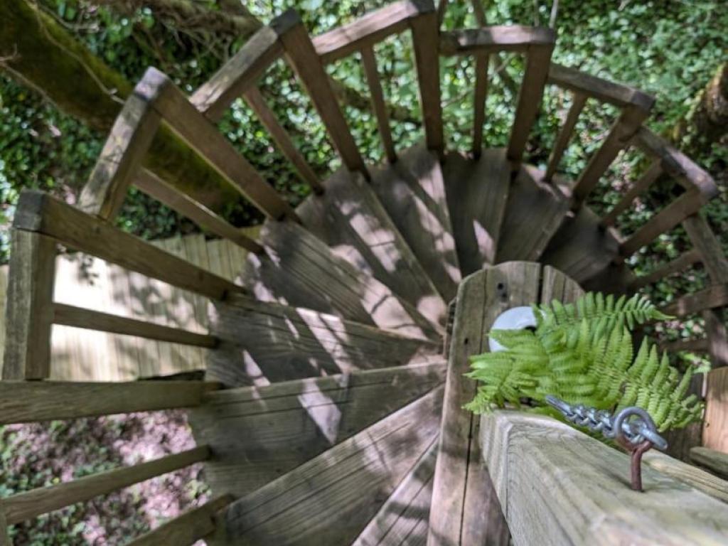 Cyprès si haut cabane et Spa