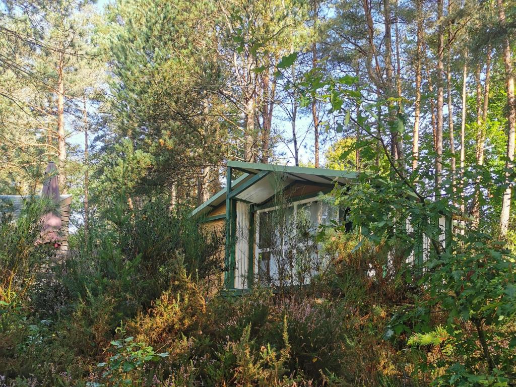 Camping les Sapins de Corrèze