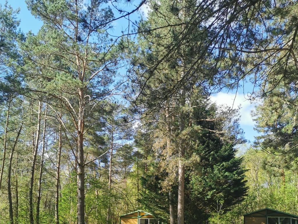 Camping les Sapins de Corrèze