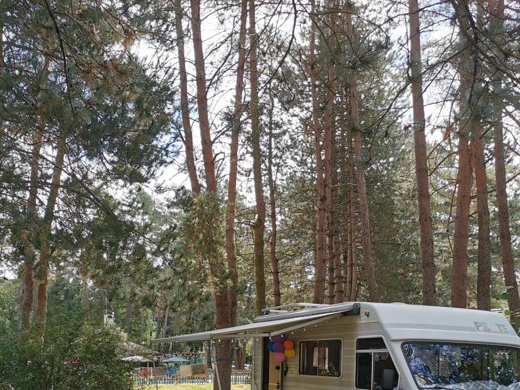 Camping les Sapins de Corrèze