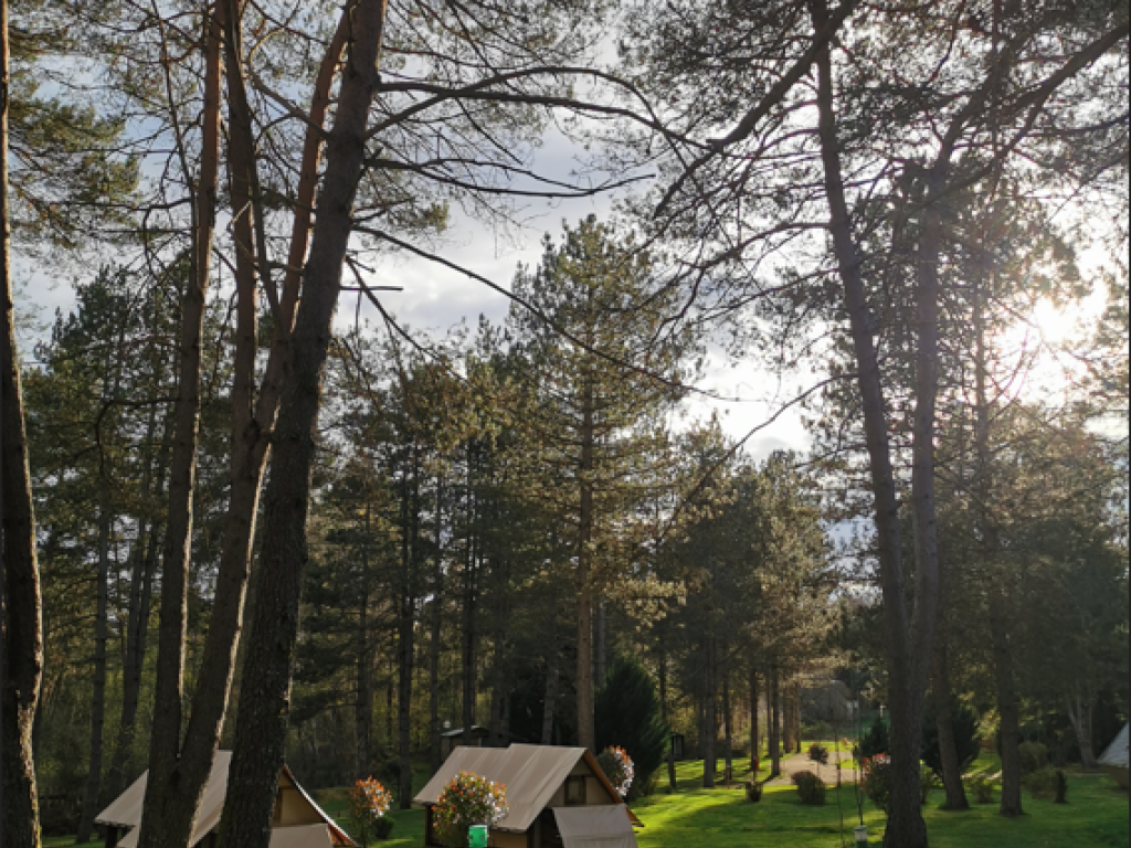 Camping les Sapins de Corrèze