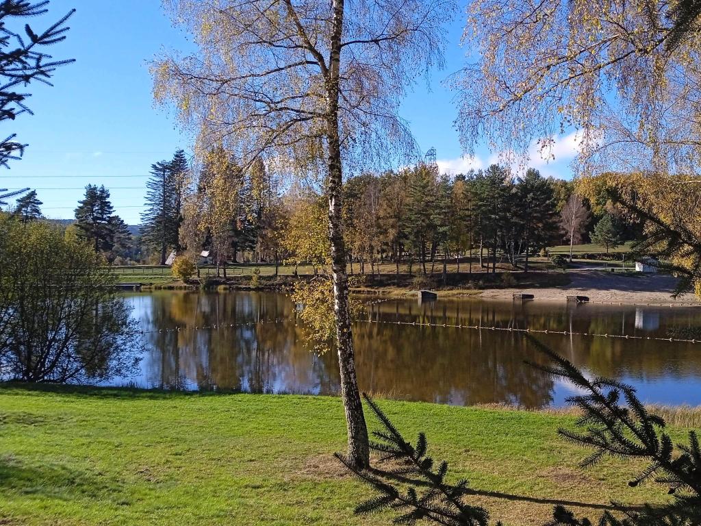 Camping municipal des Chaux