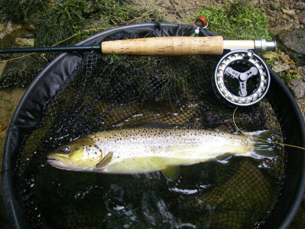 Moniteur Guide de Pêche