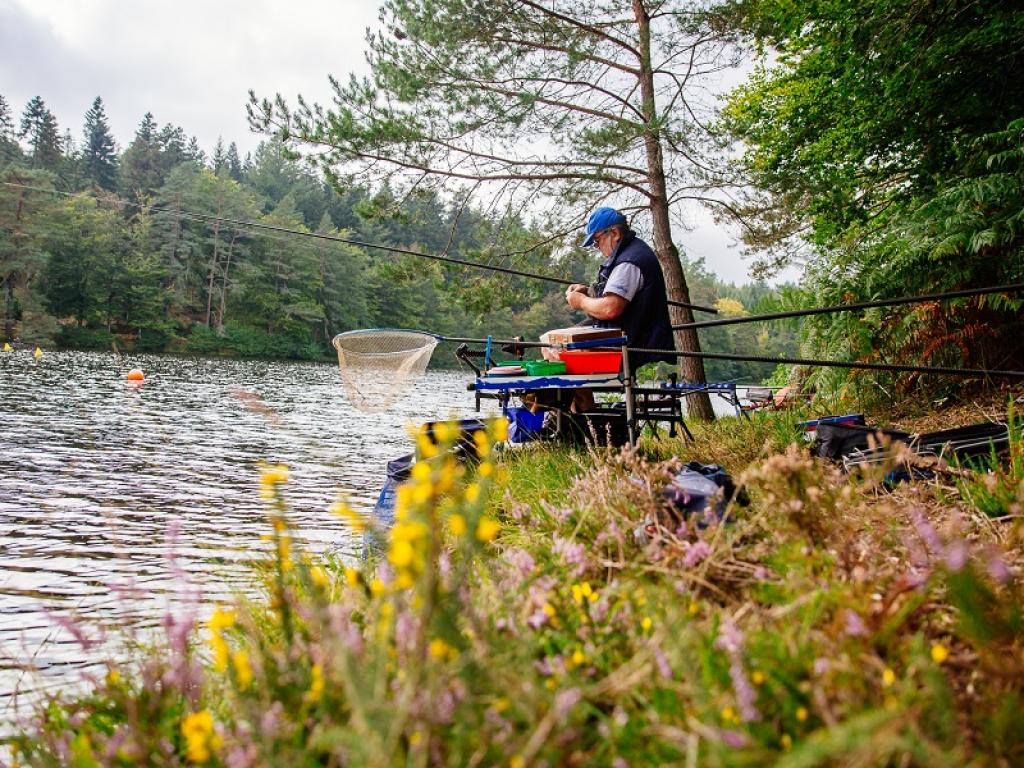 Etang de Laborde