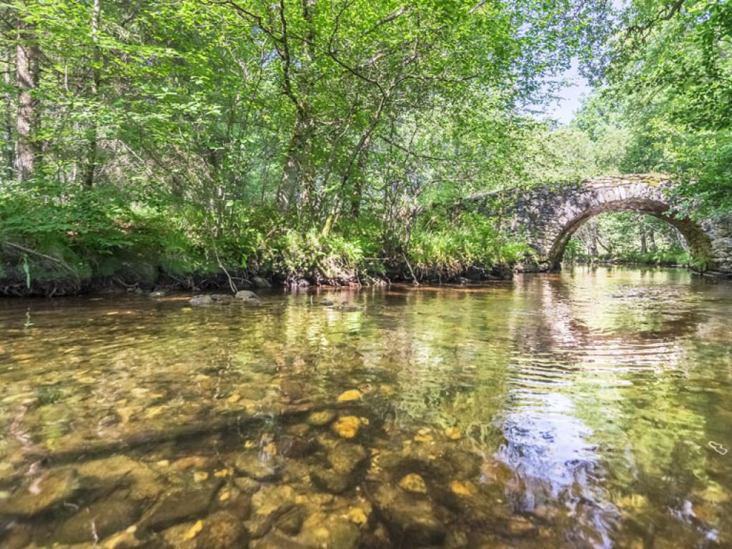 Pont de Varieras