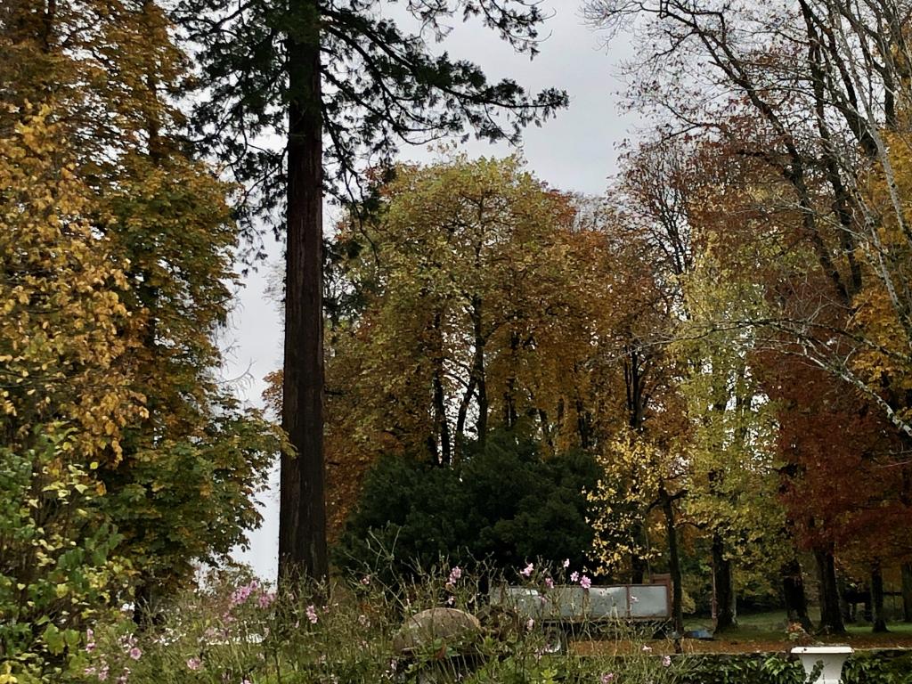 Château de Rilhac-Xaintrie
