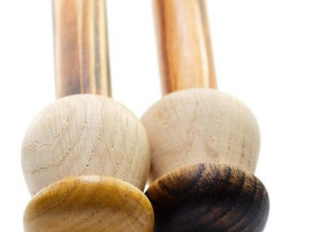 L'univers du champignon