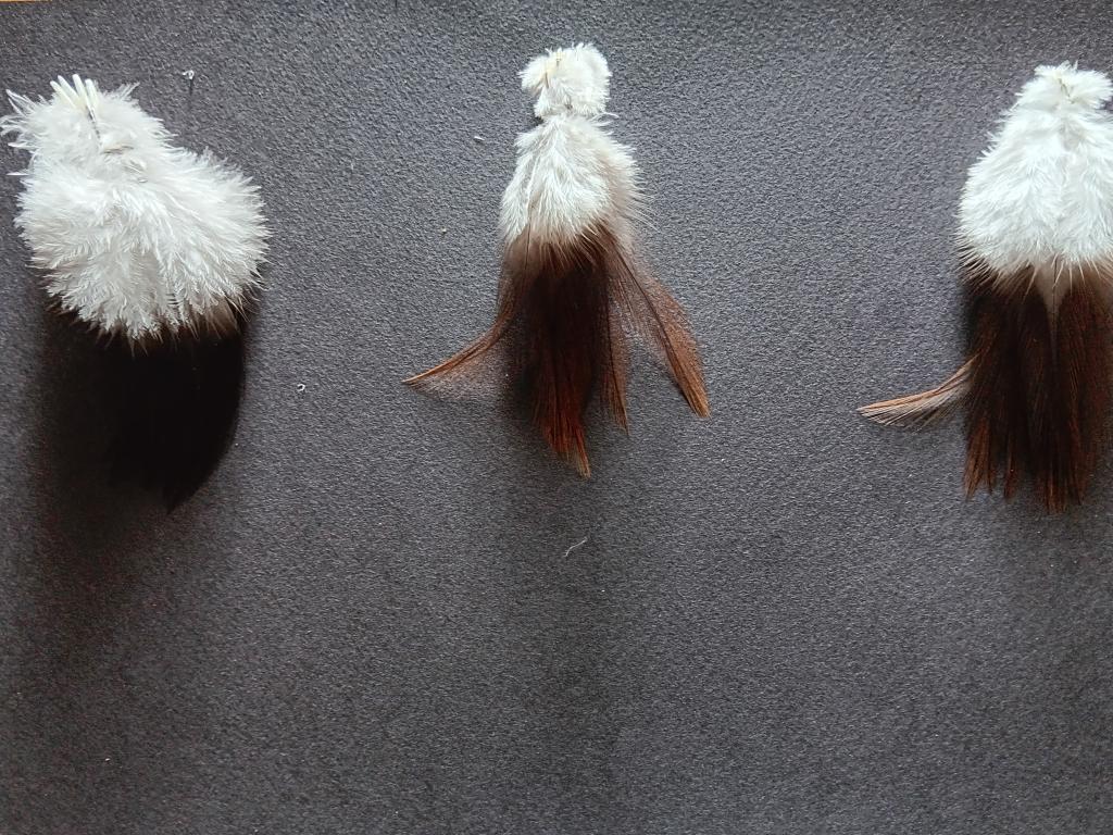 Du coq à la rivière