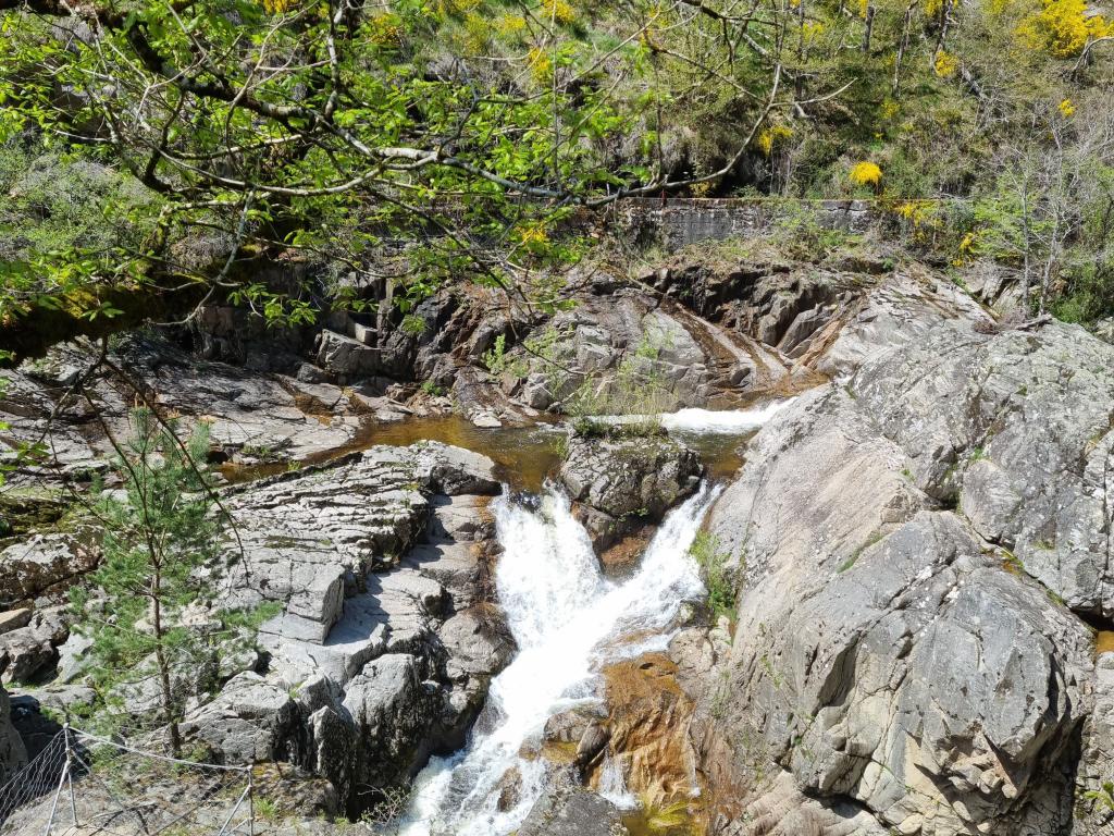 Saut de la Saule
