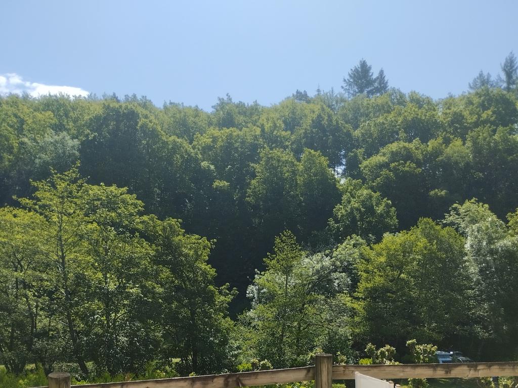 Le Corrèze