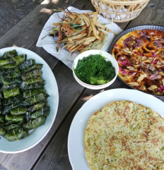 Echappées Sauvages_1