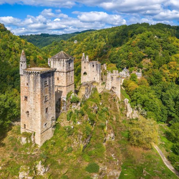 Visuel Tours de merle