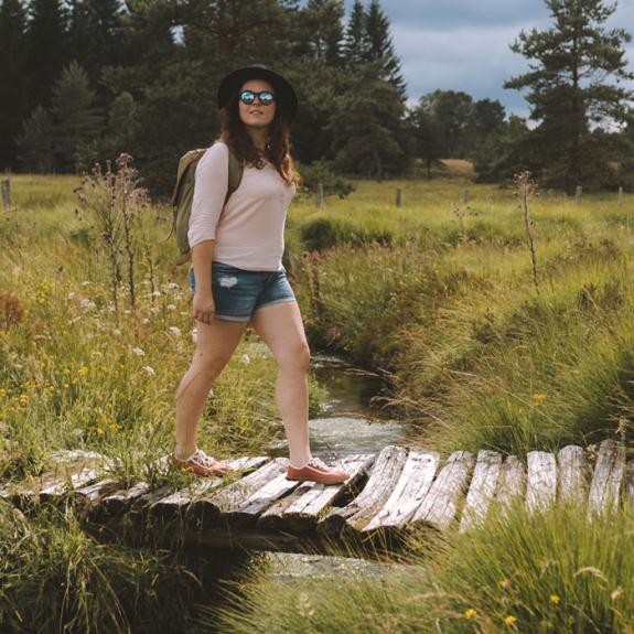 mini bridge