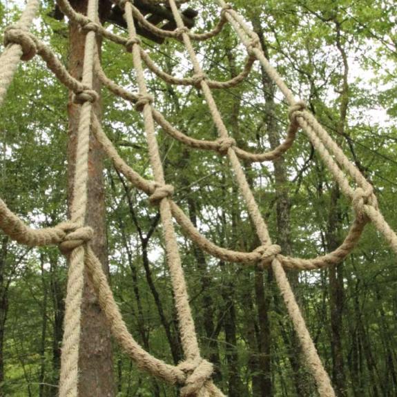 tree climbing