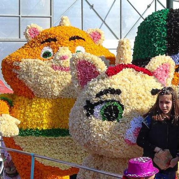 Carnaval de Malemort