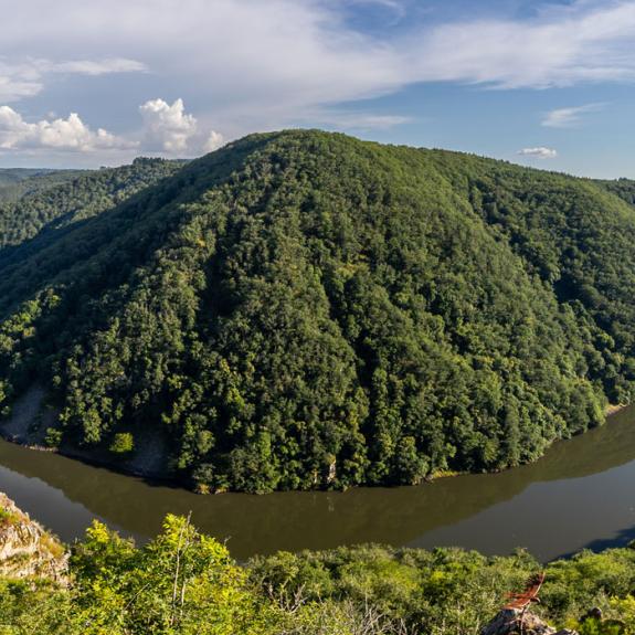 Belvédère de gratte-bruyère. Photo Guillaume Saramito