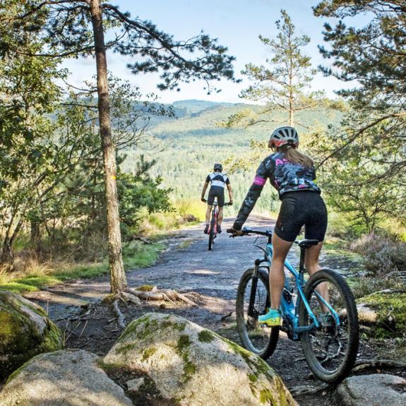 Les parcours d'activités physiques sportives étalonnés (PAPSE) en Corrèze Les parcours d'activités physiques sportives étalonnés (PAPSE) en Corrèze