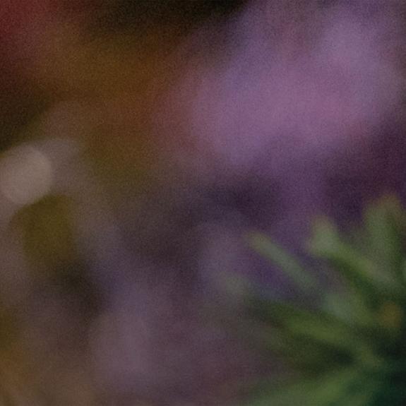 Tulle fête Noël 2025