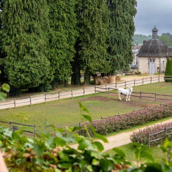 Pompadour - Photo Guillaume Saramito
