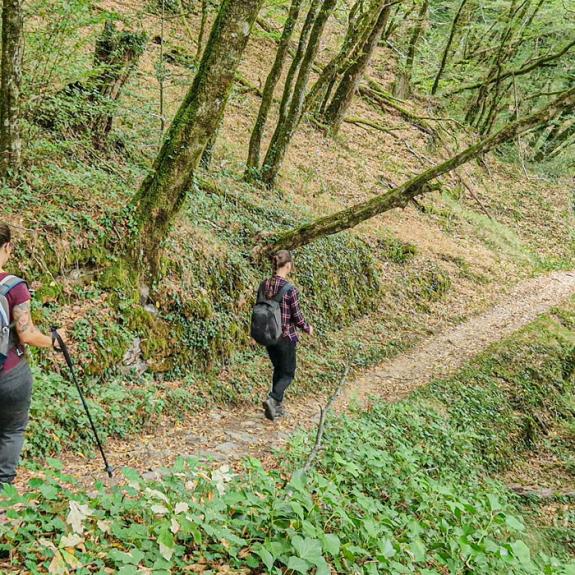 Les Chemins des 3 Corrèzes - Photo Julien Audigier