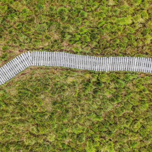 Randonnées à la tourbière du Longeyroux