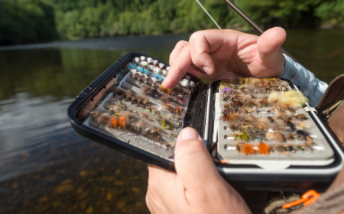 Boite à appâts de pêche