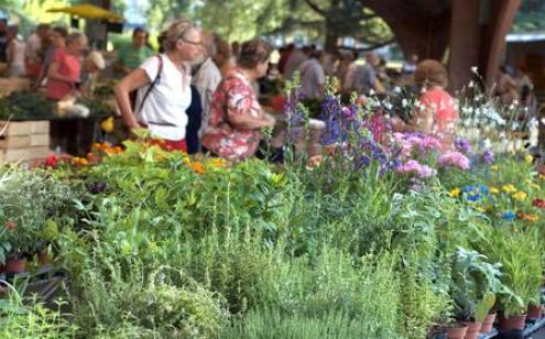 Produits non alimentaires