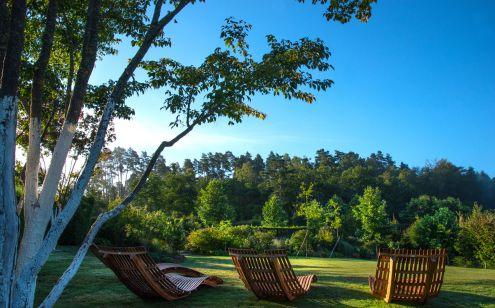 Des jardins et des arbres