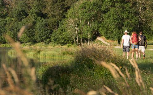Sentiers de randonnée à Meymac - Photo Malika Turin
