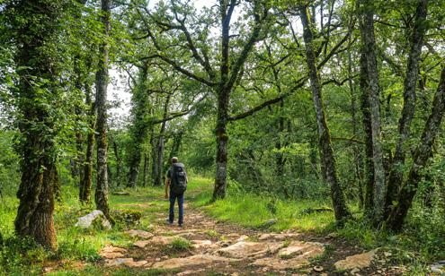 Sentiers de randonnée sur le causse corrézien - photo David GENESTAL