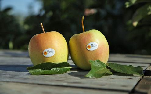 Route de la Pomme du Limousin AOP