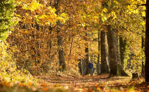 Balade automnale en Corrèze