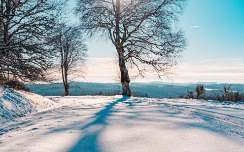 Photo neige Haute-Corrèze