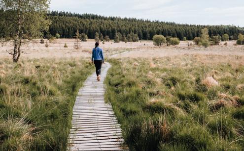 Randonnée tourbière du Longeyroux - Photo les Michmich en vadrouille