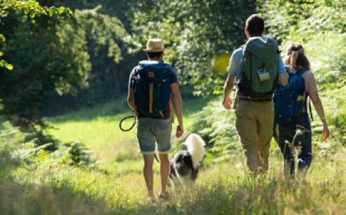 Grande randonnée Corrèze - Photo Malika Turin