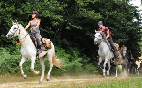 Centres équestres en Corrèze